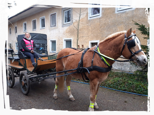 Kutsche Unsere Kutsche bereit für die Ausfahrt