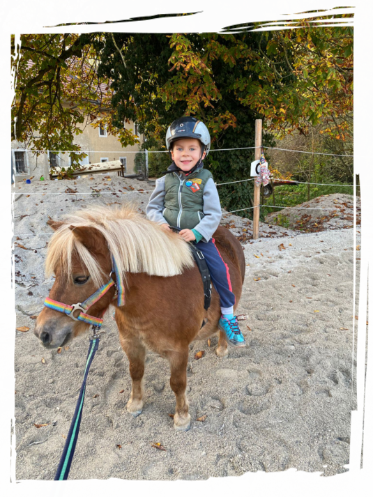 Nora Unsere Stute Nora